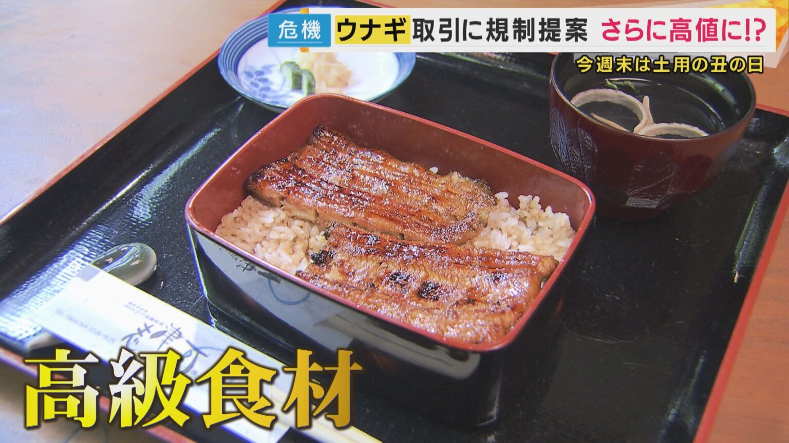 ウナギさらに高価に？EUが取引規制提案　養殖業者「闇取引起きる」"安く売れが家訓"料理店は不安隠せず | 特集 | ニュース