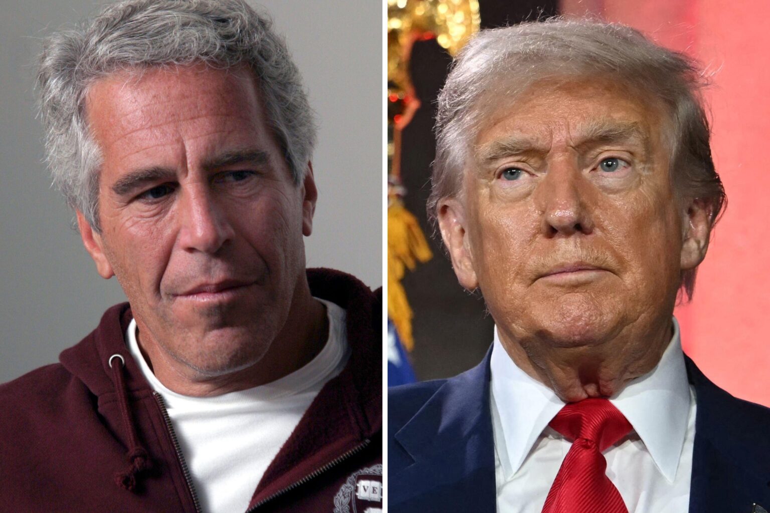 ジェフリー・エプスタインがドナルド・トランプの再浮上について語っているビデオ