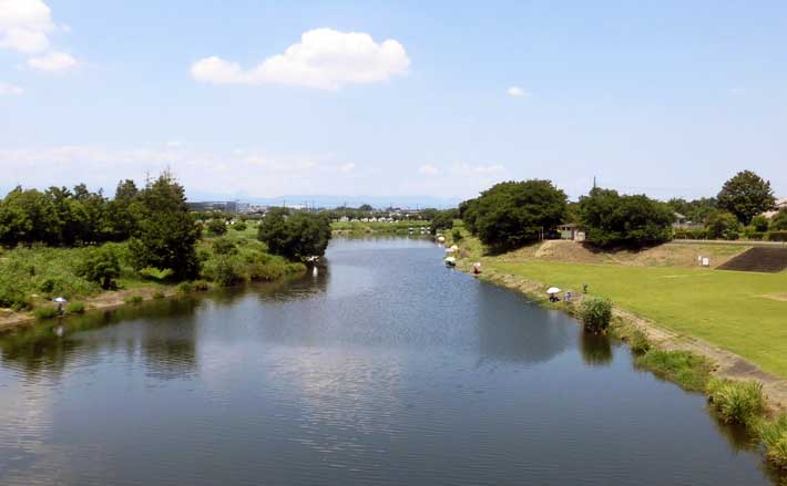 今週のヘラブナ推薦釣り場2025【埼玉県・ビン沼】 (2025年7月8日) - エキサイトニュース