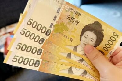 韓国では物価の高騰と低賃金による労働への不満から、仕事に就かず両親で良心に養ってもらう「カンガルー族」の若者が増えており、1981～86年生まれの韓国人のうち、32％が依然として親と同居していることがソウル研究所の報告により明らかになったと紹介