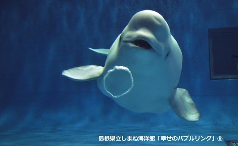 Ameba TOPへ