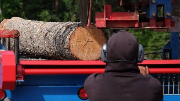 米国は、カナダの針葉樹材のダンピング防止義務を20.56％平手打ちします