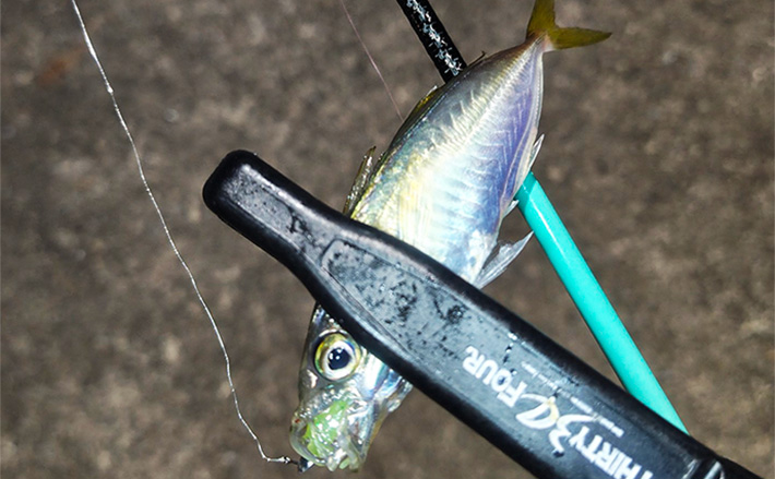 よこしまな思いでアジング大会に参加してみた【三重】気づけばガチの挑戦に？