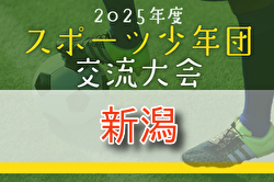 2025年度 第45回 新潟県スポーツ少年団競技別交流大会 サッカー新潟県大会 要項掲載！8/23,24,30開催　組合せ募集中！
