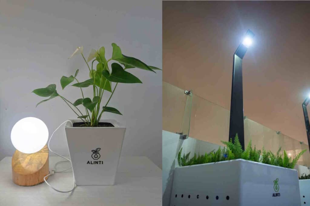 植物由来のバイオエネルギー