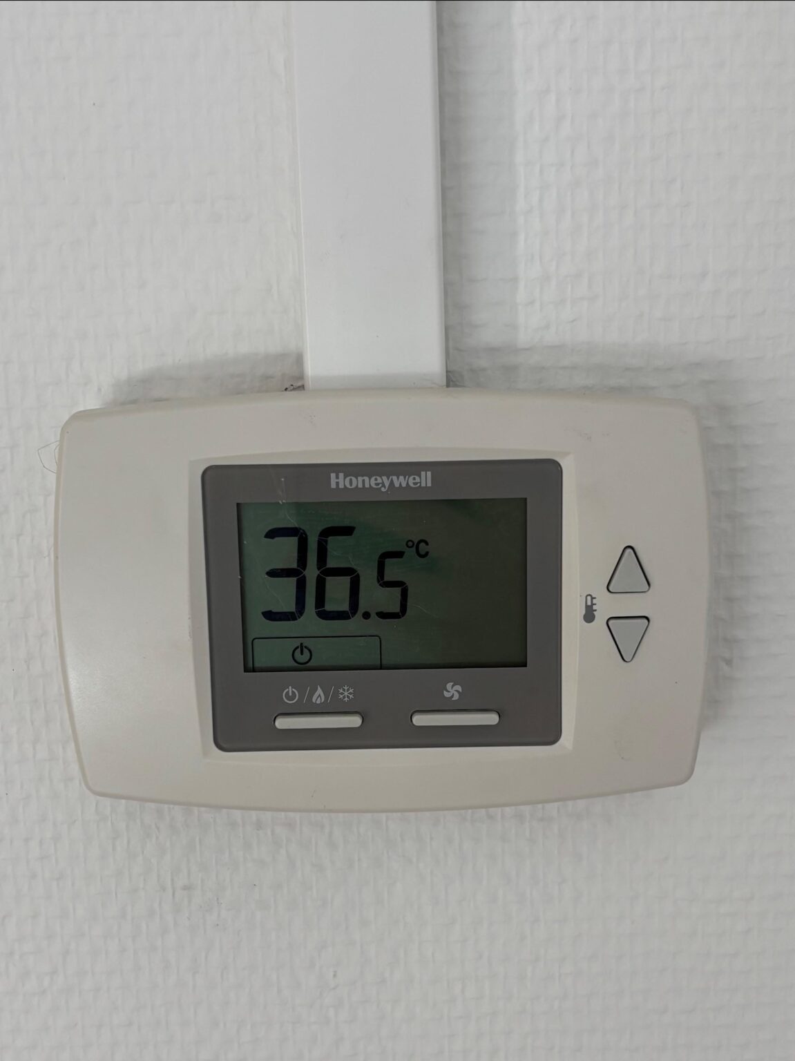 合法ですか？