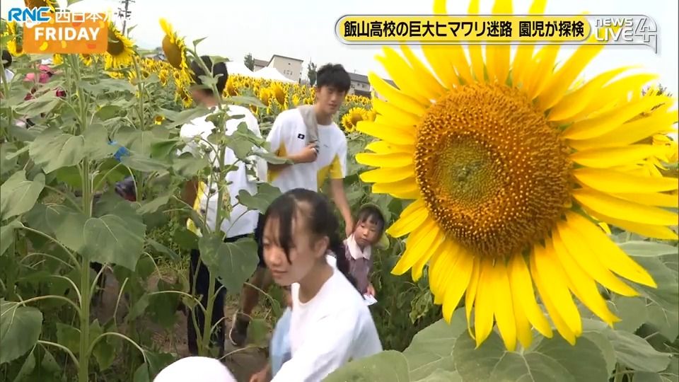 共有