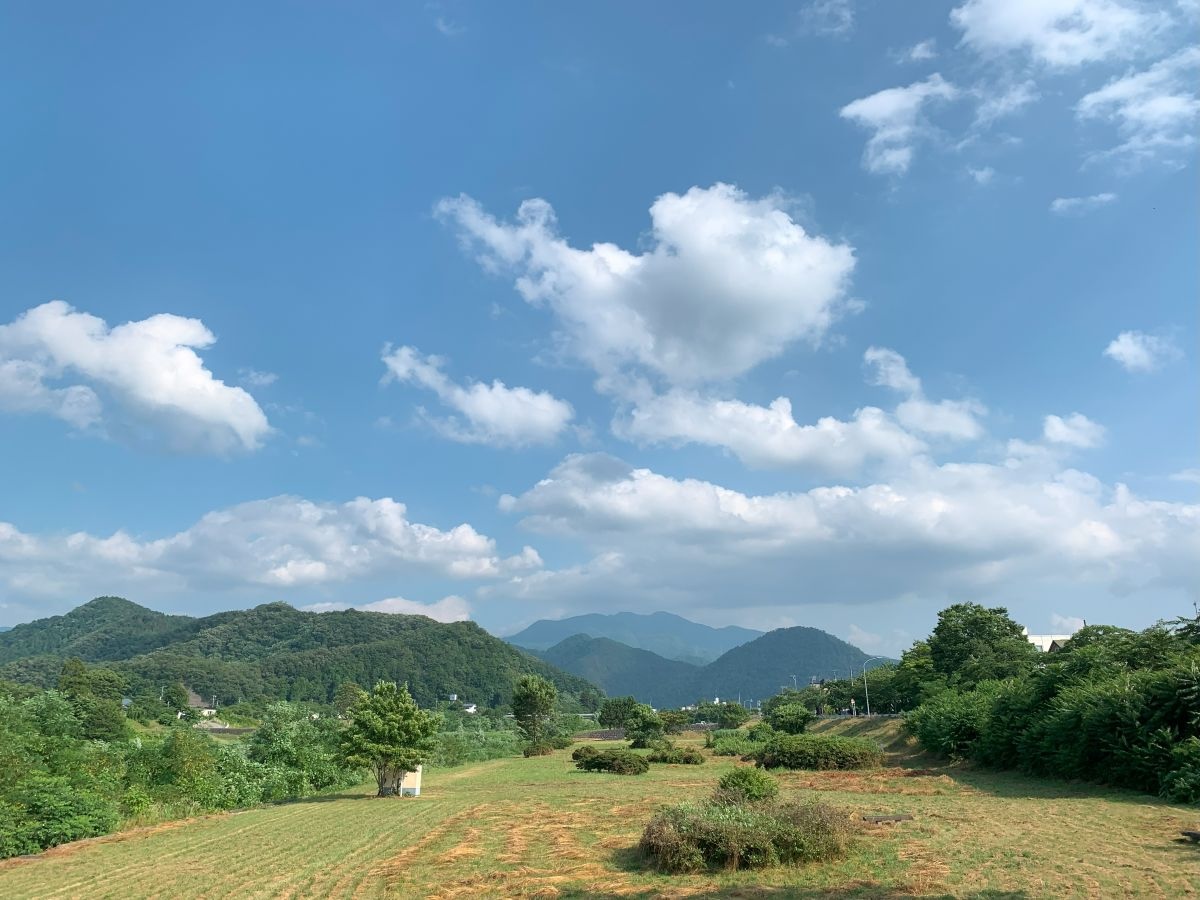 「ぼくのたいき君」 その9・奇跡のたいき君～の巻