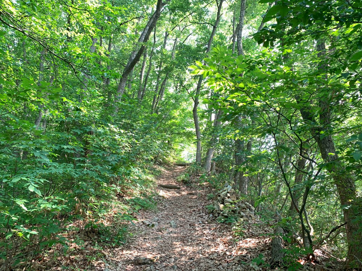 「ぼくのたいき君」 その9・奇跡のたいき君～の巻