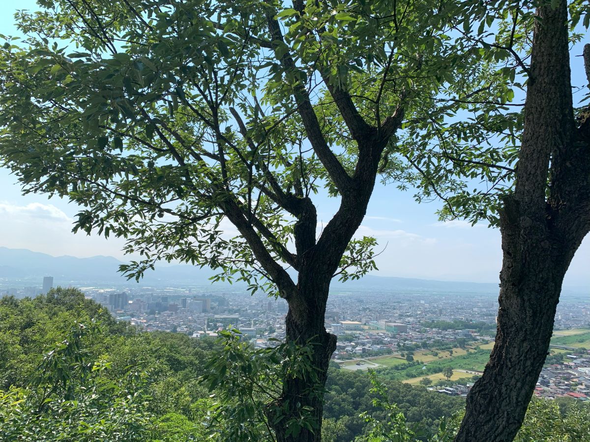 「ぼくのたいき君」 その9・奇跡のたいき君～の巻