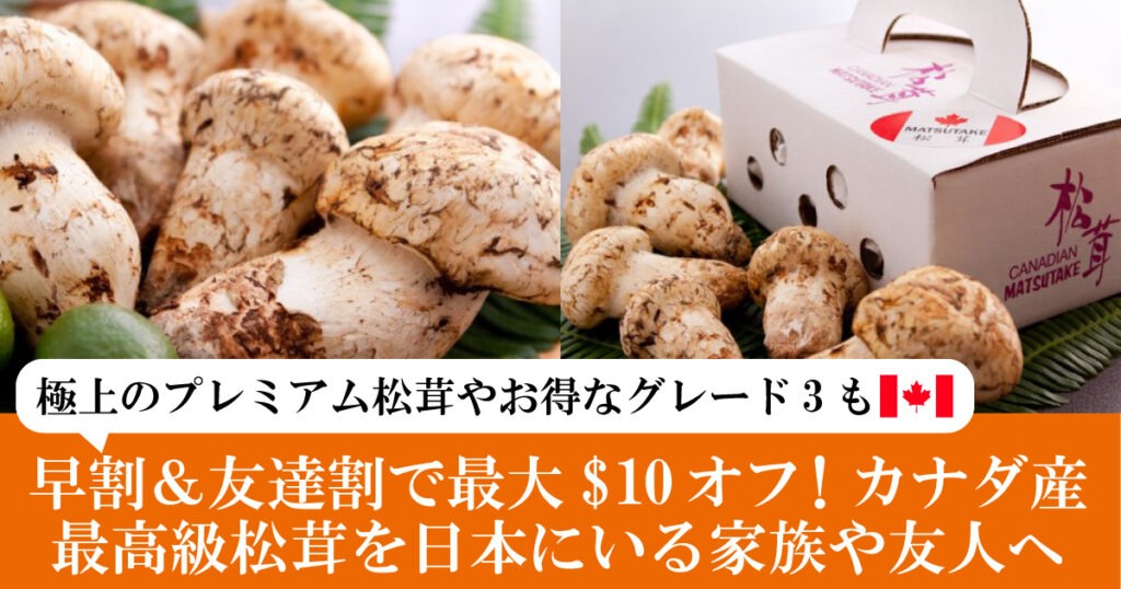 早割＆友達割で最大$10オフ！カナダ産最高級松茸を日本にいる家族や友人へ - LifeVancouver カナダ・バンクーバー現地情報