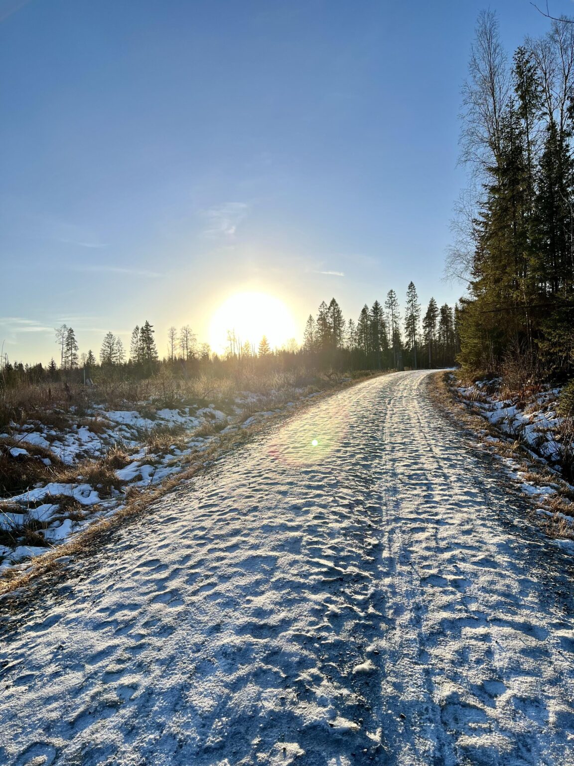 最後に、延期されたクリスマス旅行の後にノルウェーを訪問しました（馬の怪我：1、旅行計画：0）