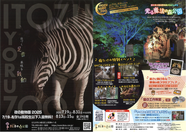 Itozu Yoru Zoo　～夜の動物園 北九州市・到津の森公園 ～ | 鹿児島・九州プレスリリース | 生活情報 | くらし