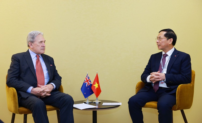Phó Thủ tướng, Bộ trưởng Bộ Ngoại giao Bùi Thanh Sơn tiếp Bộ trưởng Ngoại giao New Zealand- Ảnh 2.