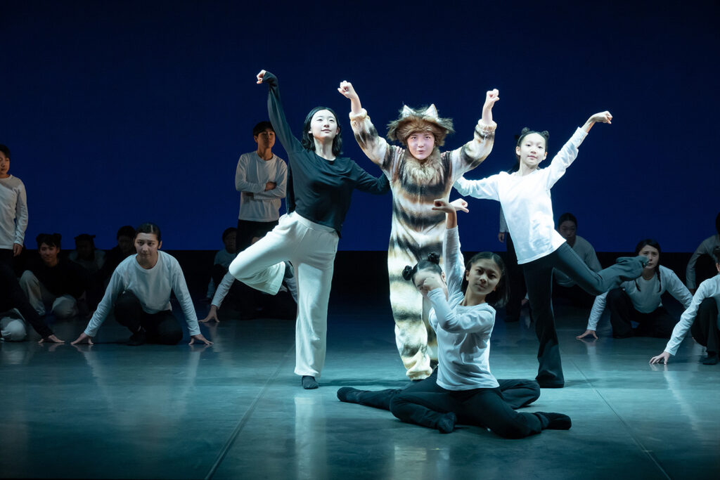 【りゅーとぴあジュニア劇団 APRICOT 2025夏季公演 『100万回生きたねこ』】りゅーとぴあの舞台で紡ぐ絵本の世界｜新潟市中央区