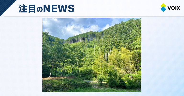 forentaの新たなキャンプエリア「宝作の森」が山口県周南市にオープン！自然と共に過ごす贅沢な時間