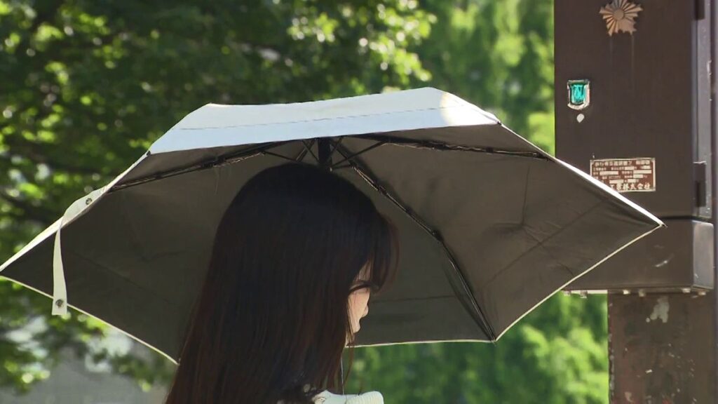 共有