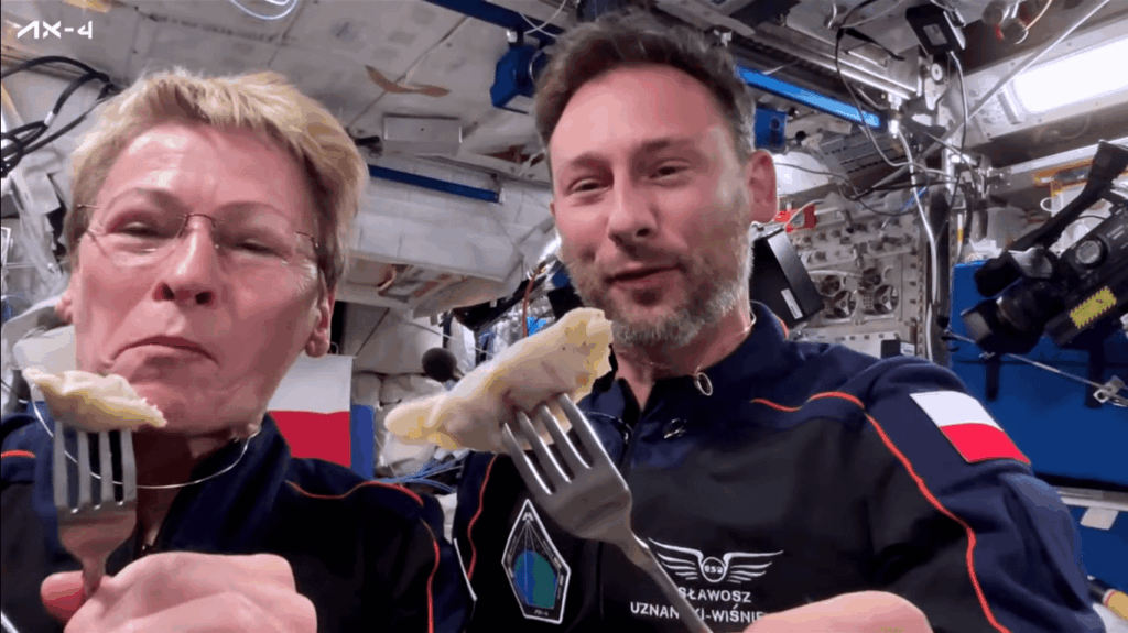 Pierogiは現在スペース認定を受けています