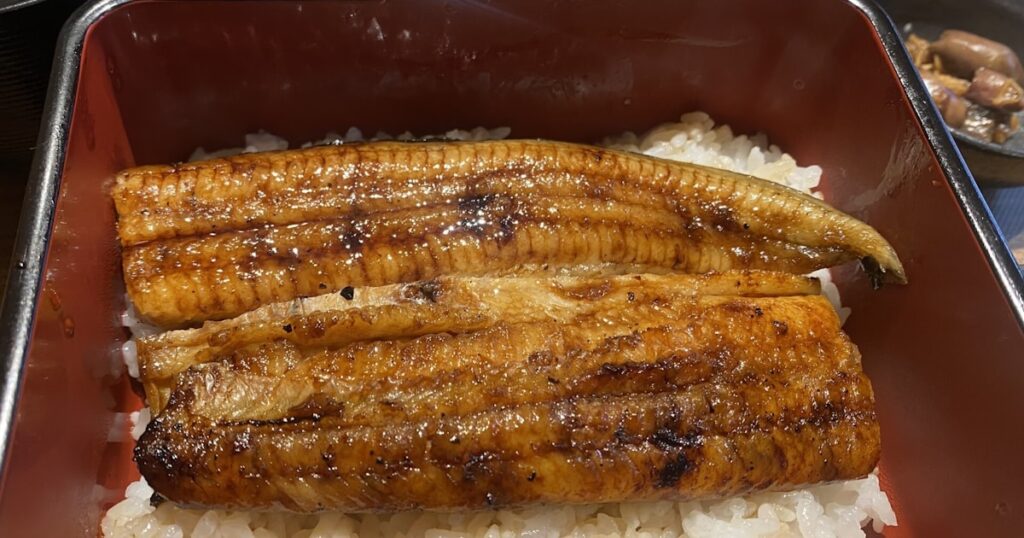 ウナギかば焼き2割安、稚魚19年ぶり多さ トランプ関税の余波も - 日本経済新聞
