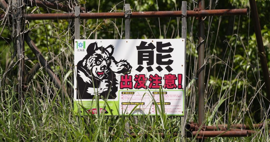 北海道のヒグマ、住宅街に複数侵入は「異例」 玄関前にも - 日本経済新聞