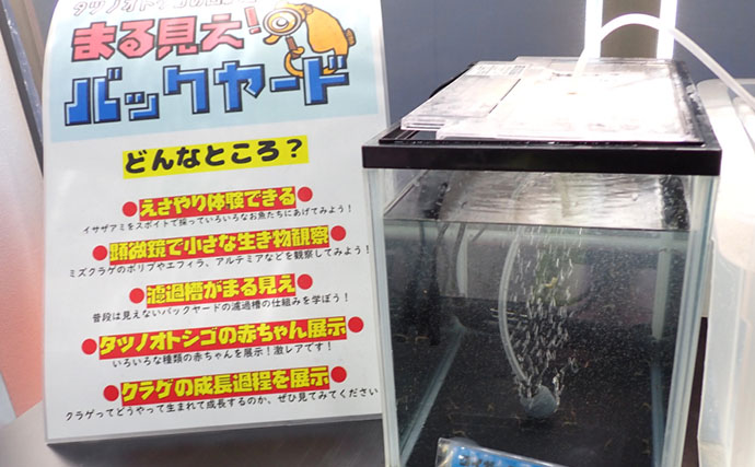 タツノオトシゴに巻かれてみた　ゼロ距離水族館『伊勢シーパラダイス』の魅力とは？