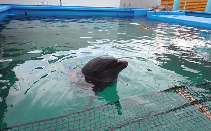 タツノオトシゴに巻かれてみた　ゼロ距離水族館『伊勢シーパラダイス』の魅力とは？