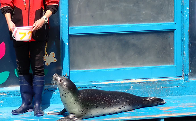 タツノオトシゴに巻かれてみた　ゼロ距離水族館『伊勢シーパラダイス』の魅力とは？
