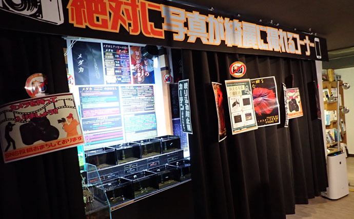 タツノオトシゴに巻かれてみた　ゼロ距離水族館『伊勢シーパラダイス』の魅力とは？