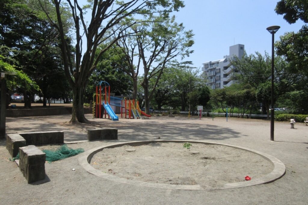 大阪府堺市の公園で撮影したスズメの姿　童話を思わせるような光景に「癒し補給チュン」と話題 | LIMO | くらしとお金の経済メディア