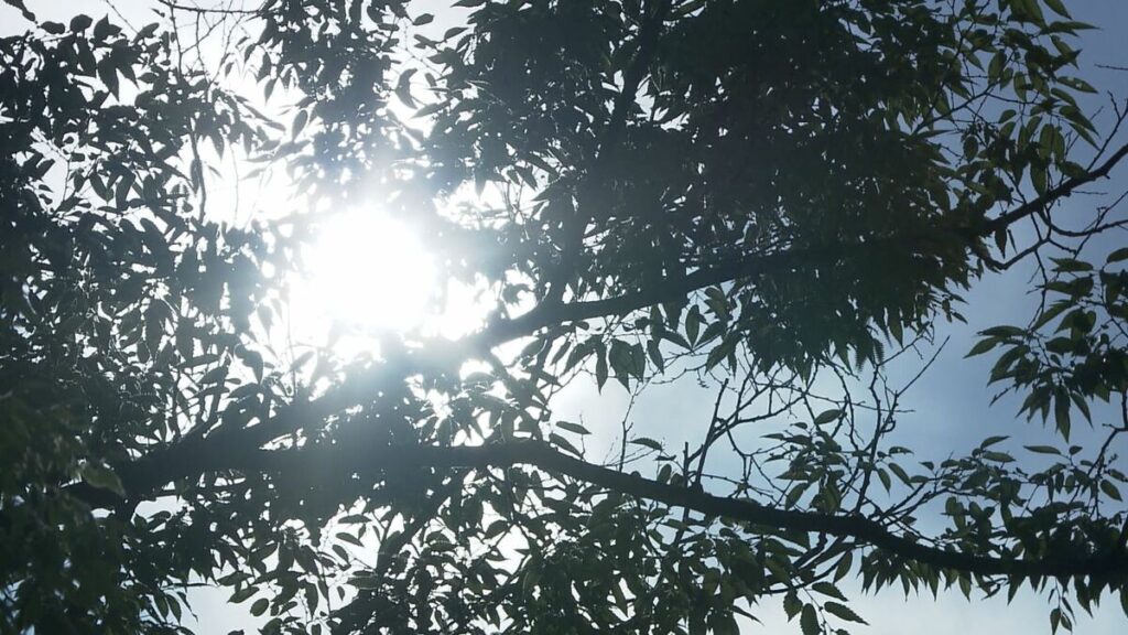 香川県高松市で37.6℃と今季最高を記録 全国でも2番目に高い気温に 岡山でも36.5℃で今季最高に | 岡山・香川のニュース | 天気 | RSK山陽放送 - TBS NEWS DIG