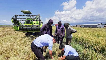 Zoomlion 、第4回China-Africa Economic and Trade Expoで先進設備とローカライズされたソリューションを展示し、アフリカの発展を促進