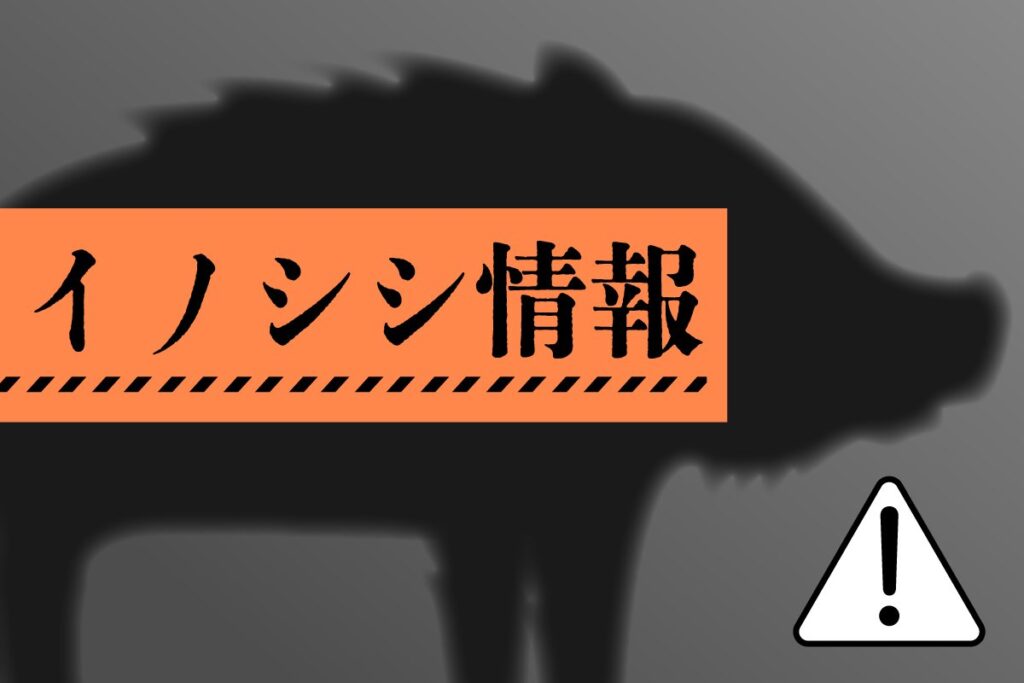 新潟市中央区と江南区でイノシシの目撃相次ぐ、７月19日深夜から20日早朝にかけて - 新潟日報デジタルプラス