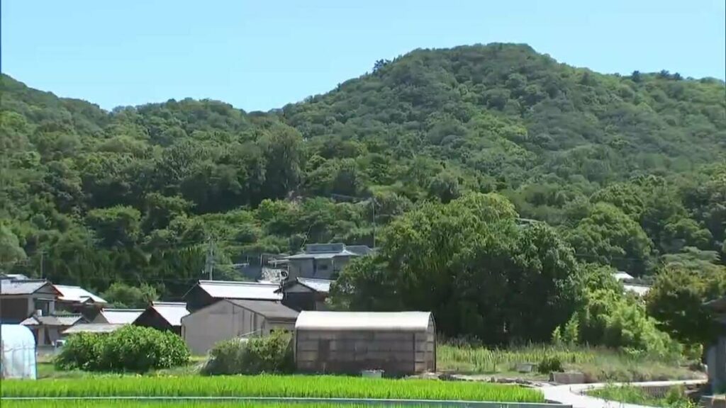 【続報】高松市庵治町でサルによる被害相次ぐ さらに90代女性が背中を引っかかれ軽いけが サルは逃走中【香川】 | 岡山・香川のニュース | 天気 | RSK山陽放送 - TBS NEWS DIG