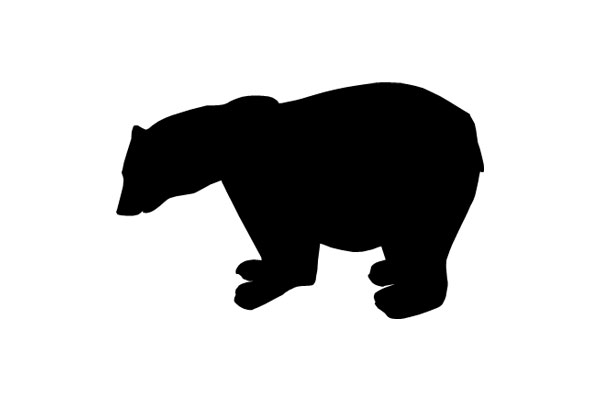 【福井県】クマ出没情報 7月5日市町発表分 | 社会 | 福井のニュース - 福井新聞社