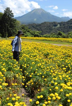 花の夏祭り、家族にぎわう 鳥取、多彩なイベントも | | 全国のニュース