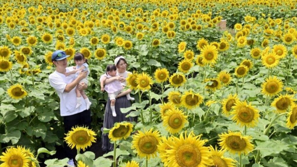 3連休！ 夏休み！ お出かけ先は決まりましたか？ 群馬、栃木、茨城3県境の「とりぷれ」今週のおすすめ | 上毛新聞電子版｜群馬県のニュース・スポーツ情報 - 上毛新聞電子版