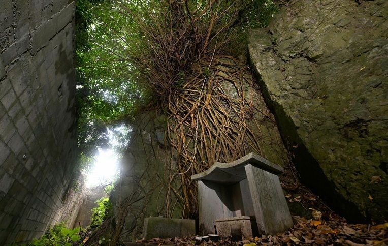 <div class="caption">日本兵による避難民虐殺の現場となった国頭村半地の「ザークビー(座峠)」。80年前、読谷山村(現読谷村)からの避難民4~5人を茂みの木につるし、刀でめった斬りにした。辺り一面に血が飛び散り、凄惨(せいさん)な景色が広がっていたという。茂みのそばにある階段を下りるとほこらがあり、事件を知る地元民の中には通る際に手を合わせる者もいる=8日、国頭村半地(写真部・小宮健撮影)</div>