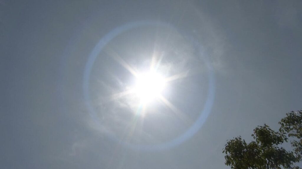 “37℃予想”危険な暑さに警戒、高知市は午前中で35℃超え今年初の“猛暑日” 3日ぶり「熱中症警戒アラート」発表【高知】 | TBS NEWS DIG (1ページ) - TBS NEWS DIG