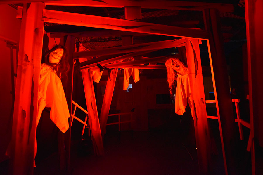 先に進むのが恐ろしい鳥居が並ぶエリアも（Lmaga.jp撮影）
