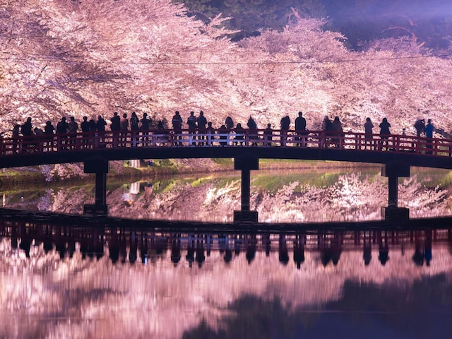 「桜が美しいと思う都道府県」ランキング！ 同率2位「青森県」「東京都」を抑えた1位は？