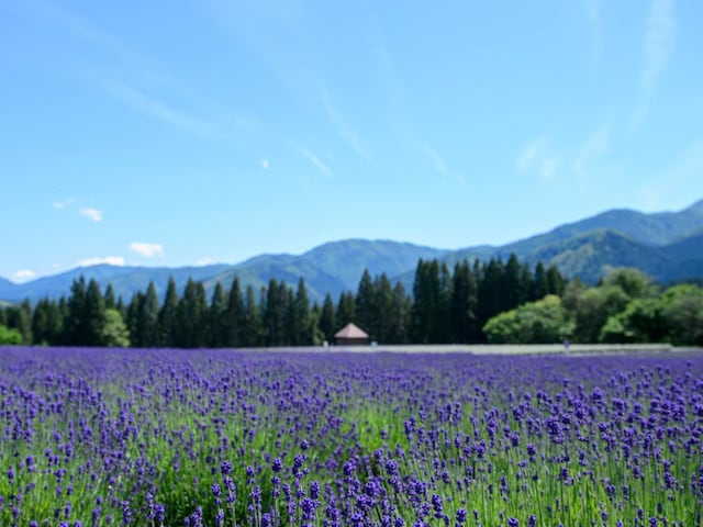 秋田県民が選んだ「街の住みここち（自治体）」ランキング！ 2位「仙北郡美郷町」、1位は？