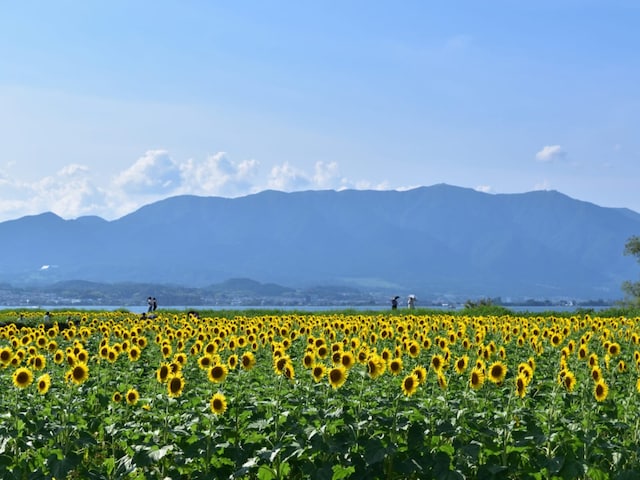 滋賀県民が選んだ「住みここち（自治体）」ランキング！ 2位「守山市」、1位は？【2025年調査】