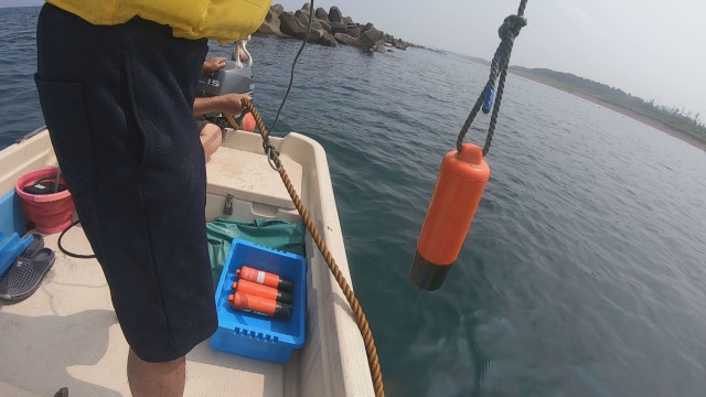 県内の海水浴場はこの夏もイルカ対策に追われる 位置情報把握する発信機は不調
