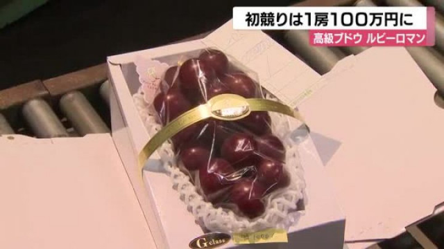 去年に続き１房１００万円の値 石川県が開発した高級ブドウ 都内のカフェで提供へ