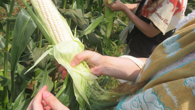 茨城県那珂市で販路拡大に向けPRイベント開催