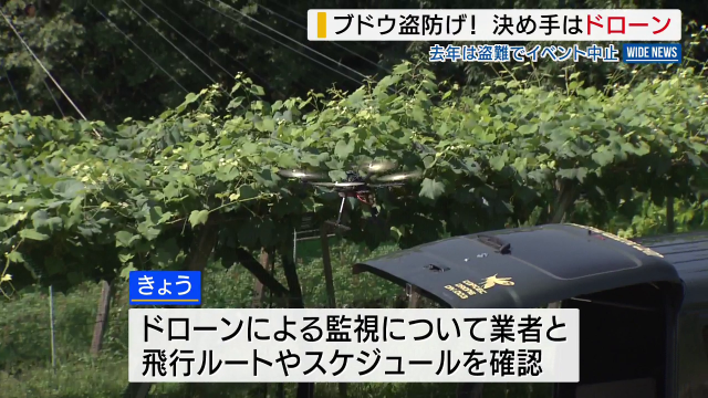 ブドウ盗防げ！ 決め手はドローン 去年は大量盗難でイベント中止 笛吹川フルーツ公園 山梨