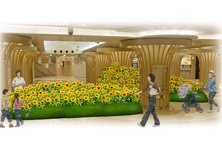 大阪・なんばに「本物のひまわり畑」出現、涼しい地下街で撮影 | Lmaga.jp 大阪・なんばに「本物のひまわり畑」出現、涼しい地下街で撮影 | Lmaga.jp