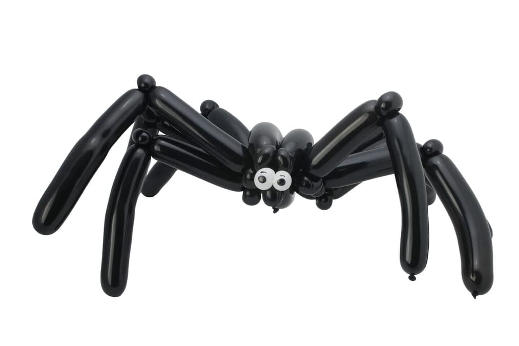 ドクイトグモに噛まれた女性、顔全体に「恐ろしい症状」が...SNSで写真を公開 - ニューズウィーク日本版 オフィシャルサイト