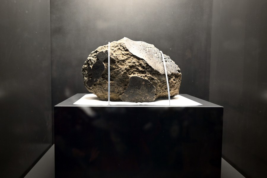 「火星の石」なぜあるの？ 万博・日本館の展示、見どころまとめ | Lmaga.jp