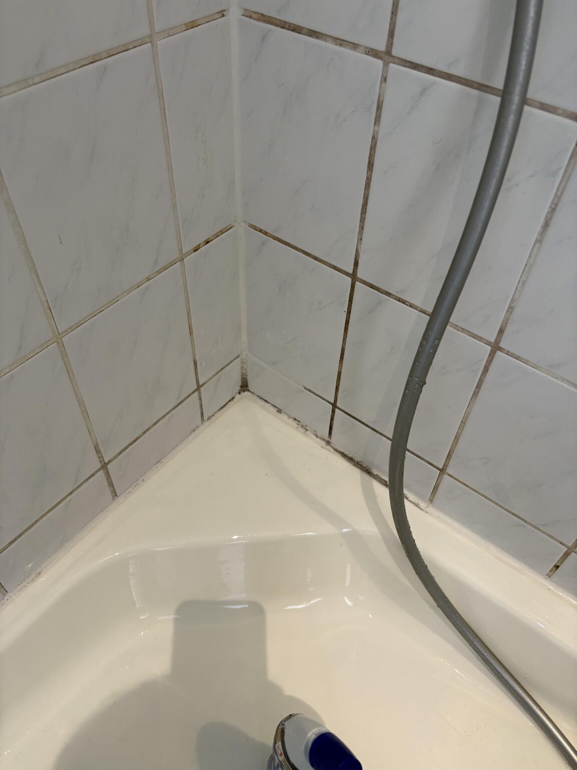 私の家主は私にこれを請求することができますか？